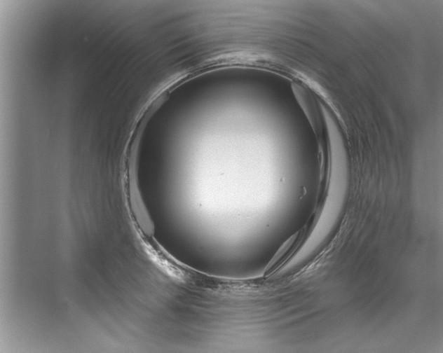 X0000073421042200608111346