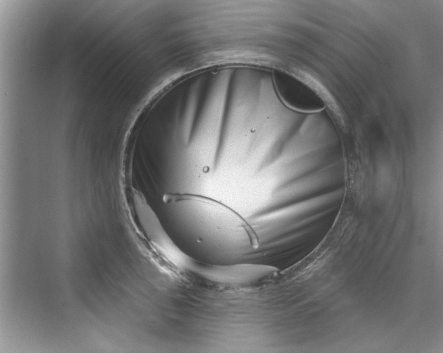 X0000073421043200608111346