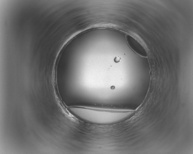 X0000073421044200608111346