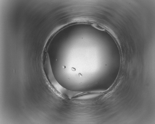 X0000073421045200608111346