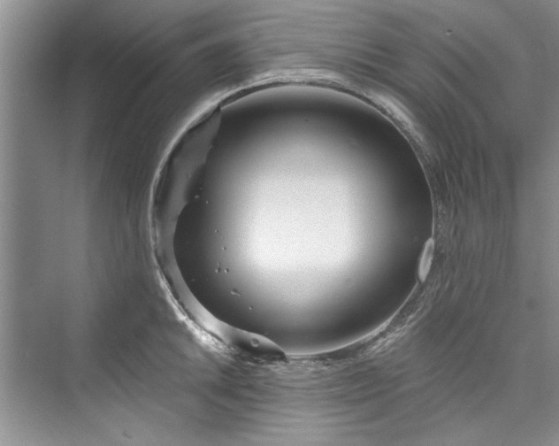 X0000073421046200608111346