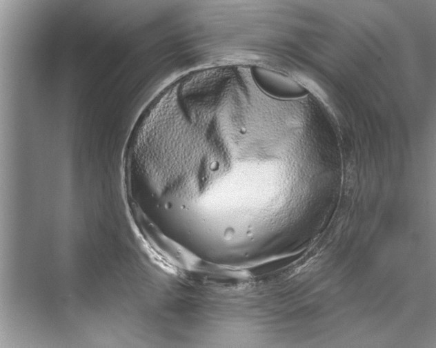 X0000073421047200608111346