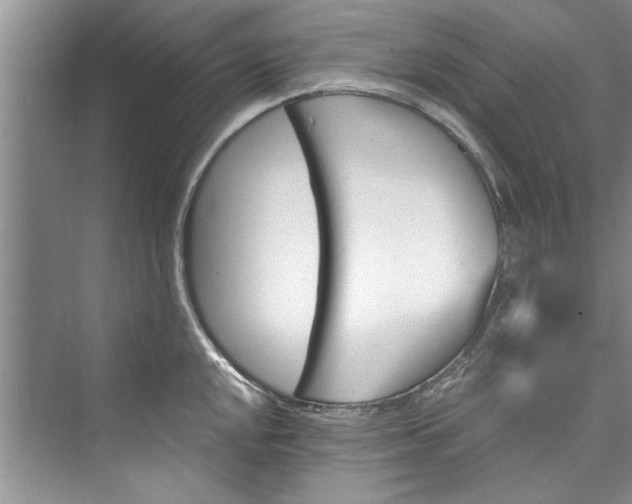 X0000073421048200608111346