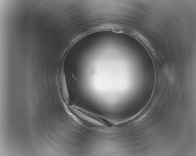 X0000073421049200608111346