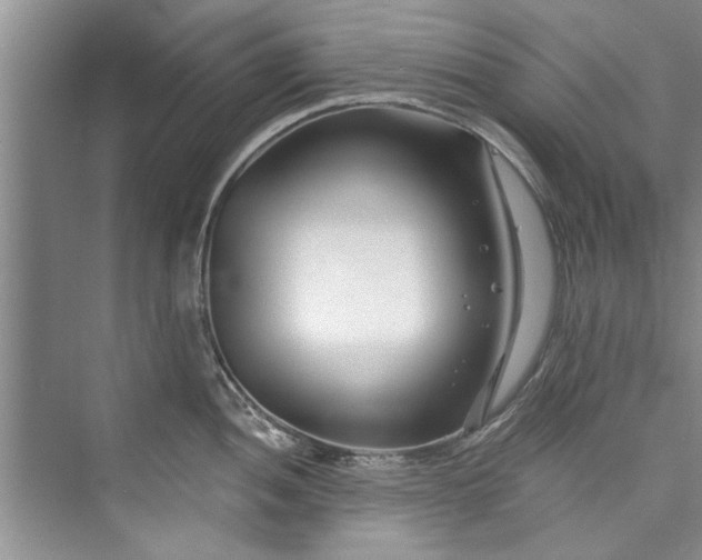 X0000073421052200608111346