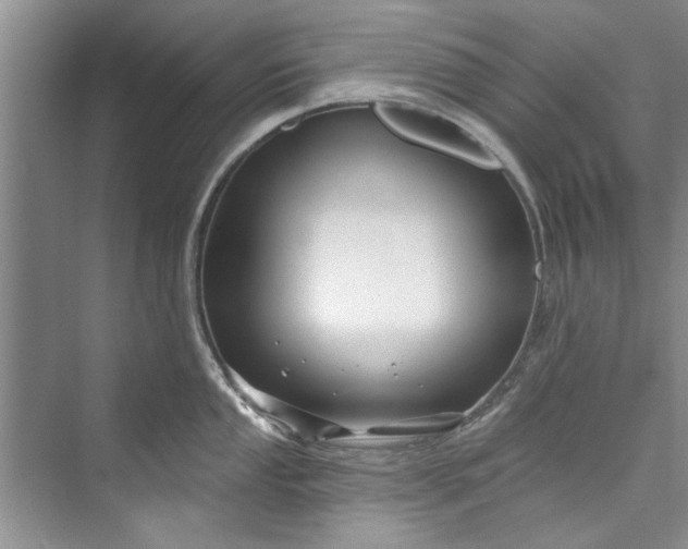 X0000073421053200608111346