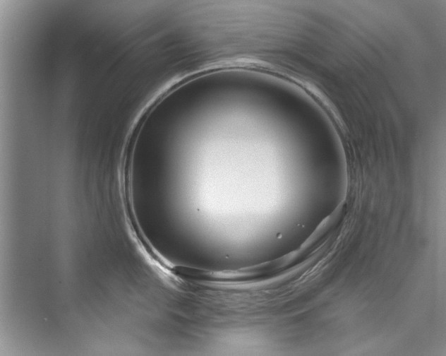 X0000073421054200608111346