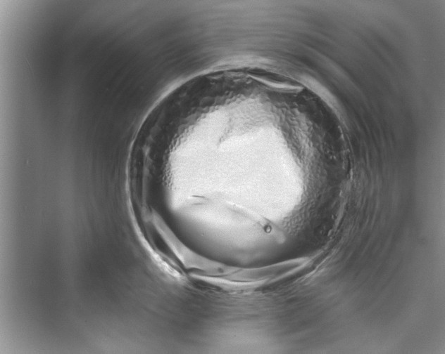 X0000073421055200608111346