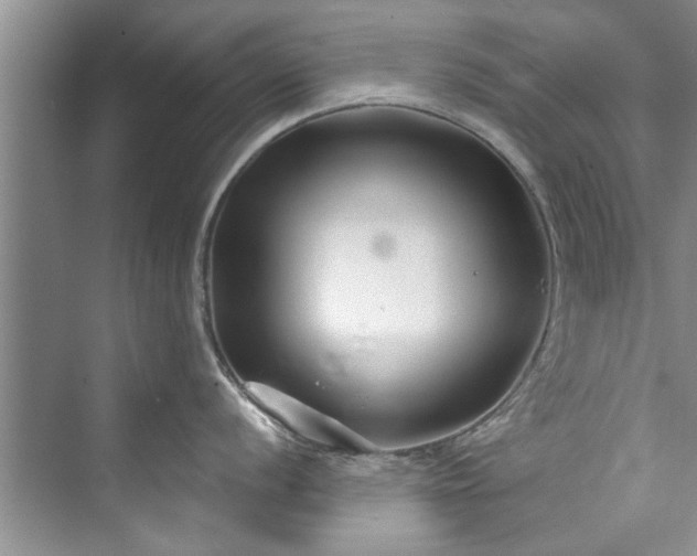 X0000073421056200608111346