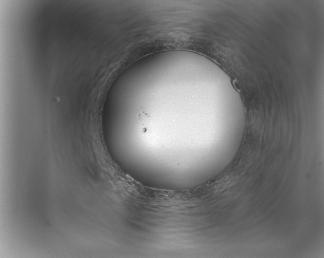 X0000073421057200608111345