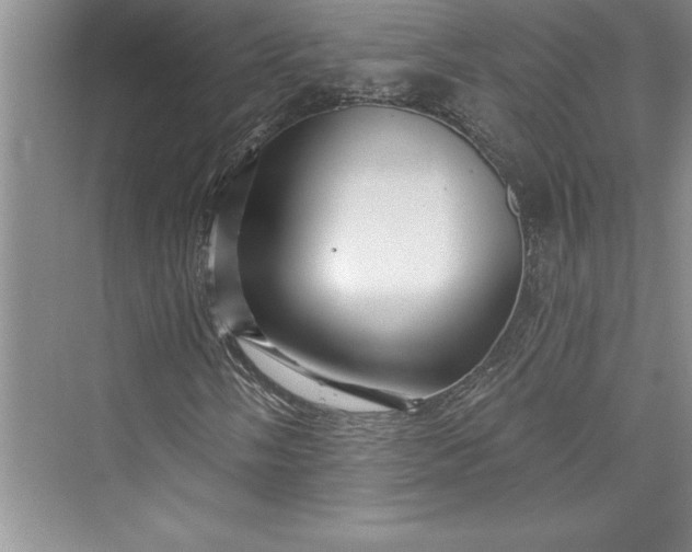 X0000073421058200608111345