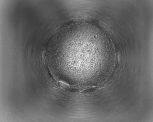 X0000073421059200608111345