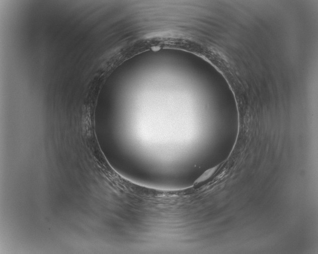 X0000073421062200608111345