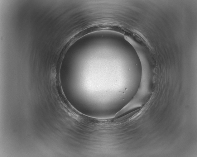 X0000073421065200608111345