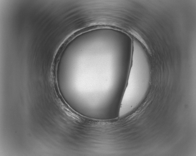 X0000073421068200608111345