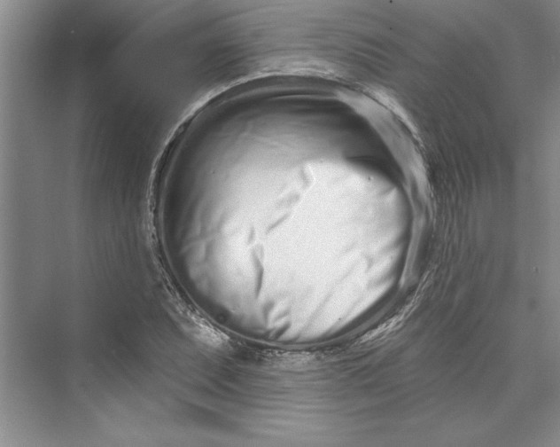 X0000073421071200608111345