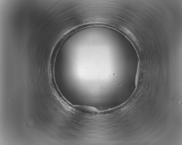 X0000073421072200608111345