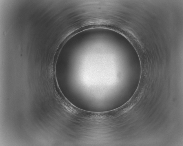 X0000073421073200608111345