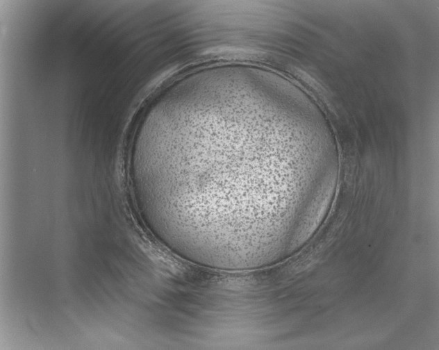 X0000073421074200608111345