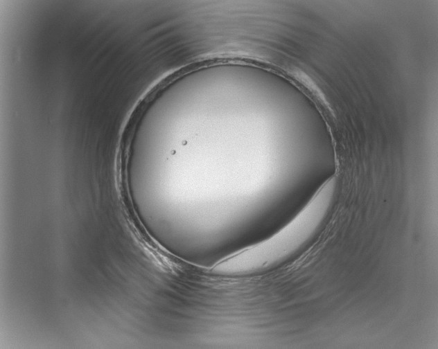 X0000073421076200608111345