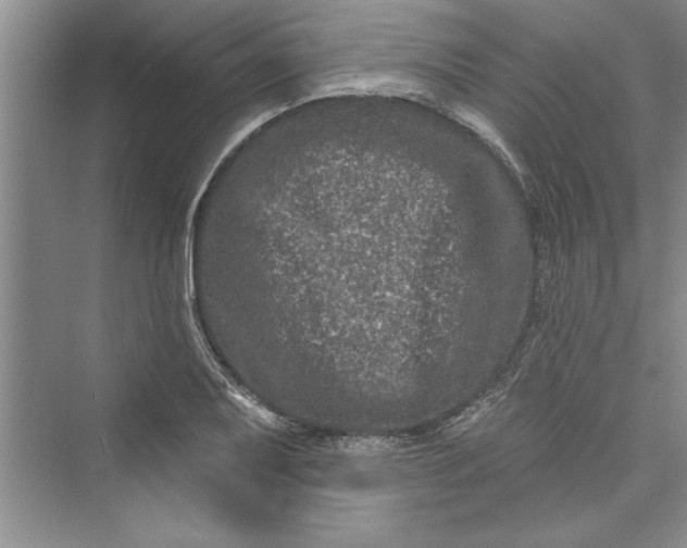 X0000073421079200608111345