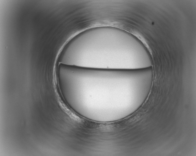 X0000073421080200608111345