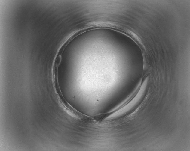 X0000073421082200608111345