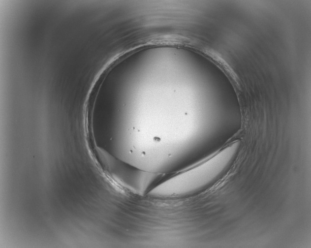 X0000073421083200608111345