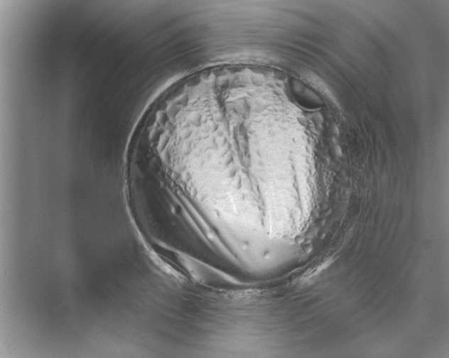 X0000073421087200608111345