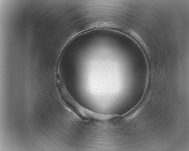 X0000073421089200608111345