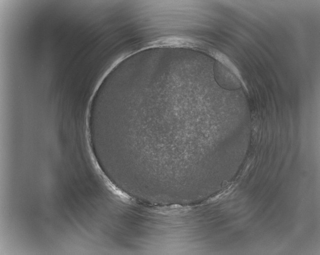 X0000073421091200608111345