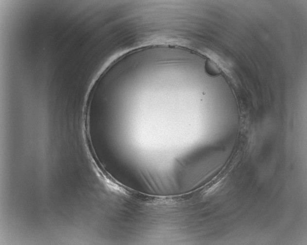 X0000073421094200608111344