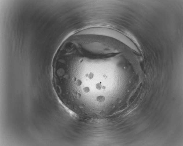 X0000073421095200608111344