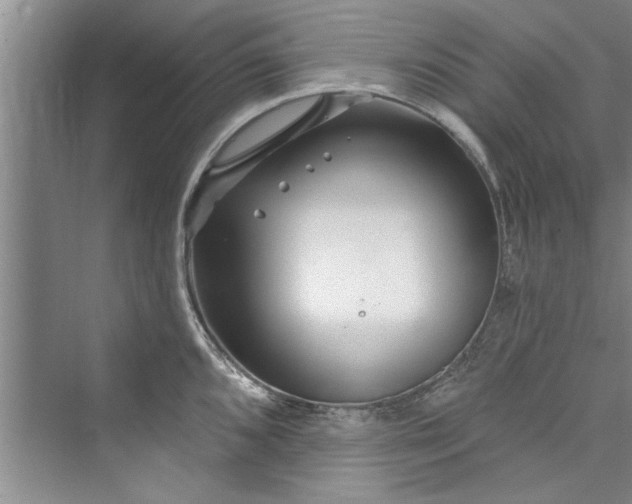 X0000073421096200608111344