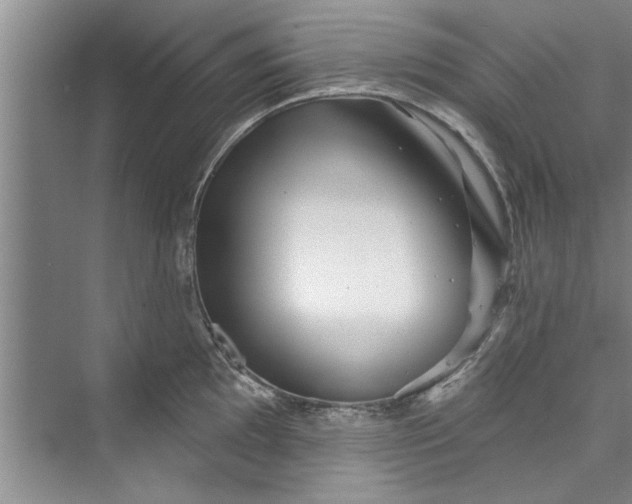 X0000073421097200608111344