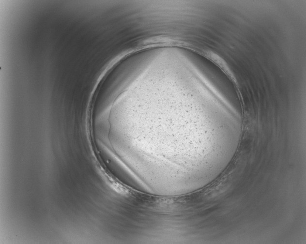 X0000073421098200608111344