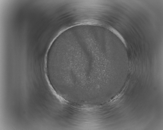 X0000073421099200608111344