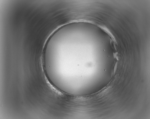 X0000073421100200608111344