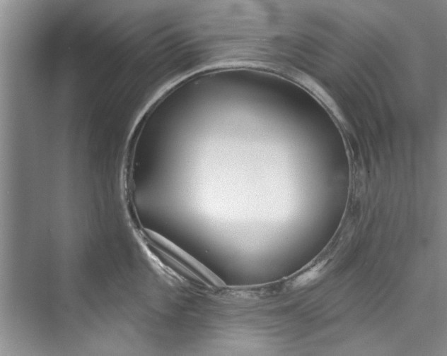 X0000073421101200608111344