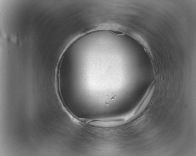 X0000073421103200608111344