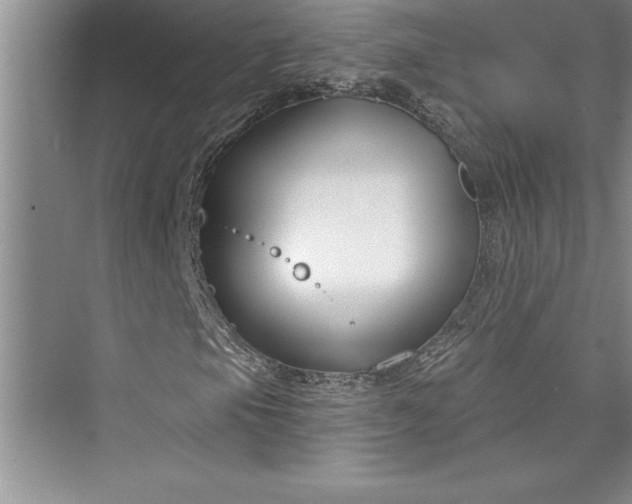 X0000073421105200608111344