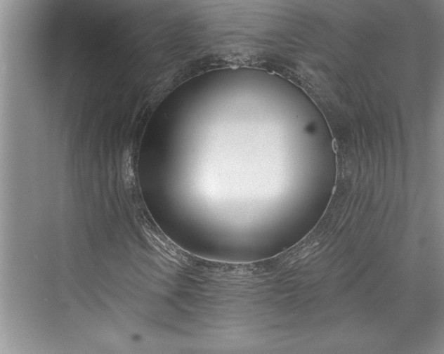 X0000073421106200608111344