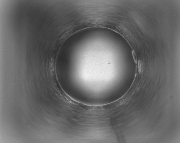 X0000073421107200608111344