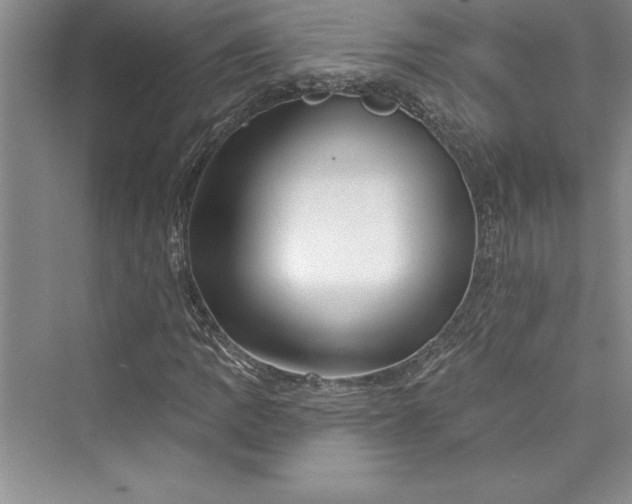 X0000073421109200608111344