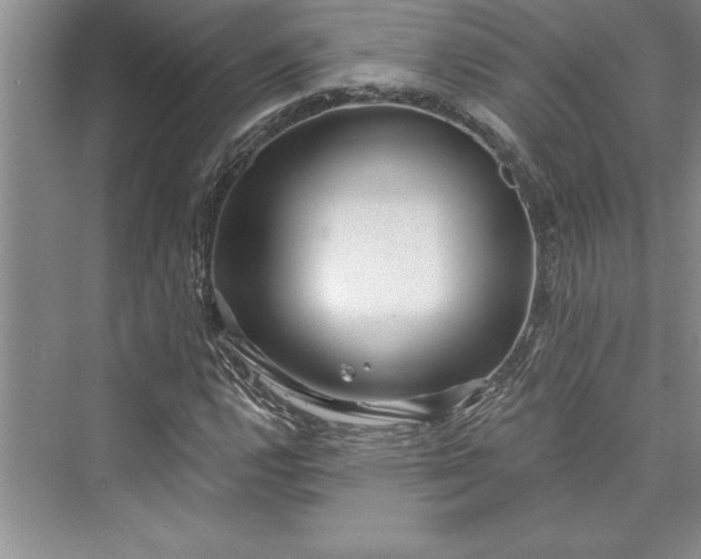 X0000073421112200608111344