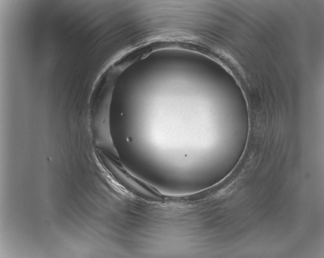 X0000073421114200608111344