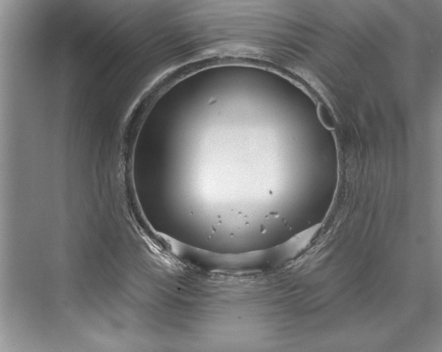 X0000073421115200608111344