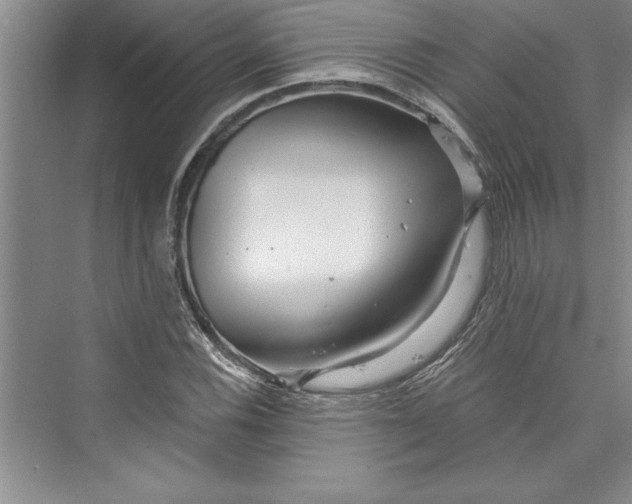 X0000073421116200608111344