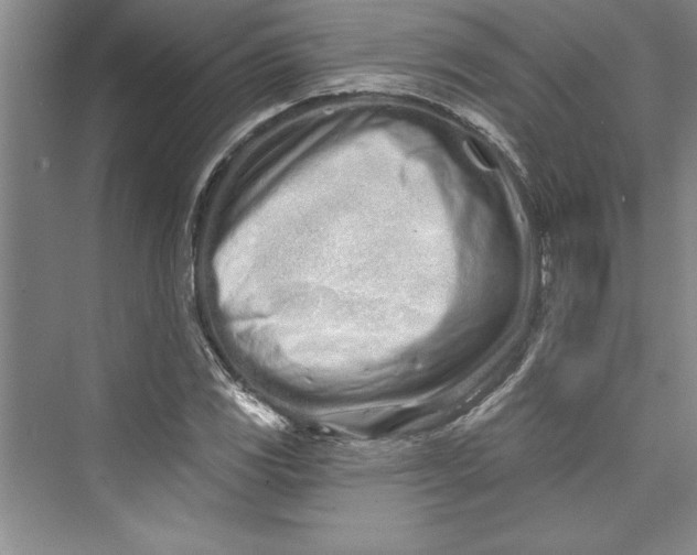 X0000073421117200608111344