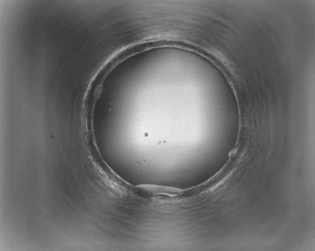 X0000073421118200608111344